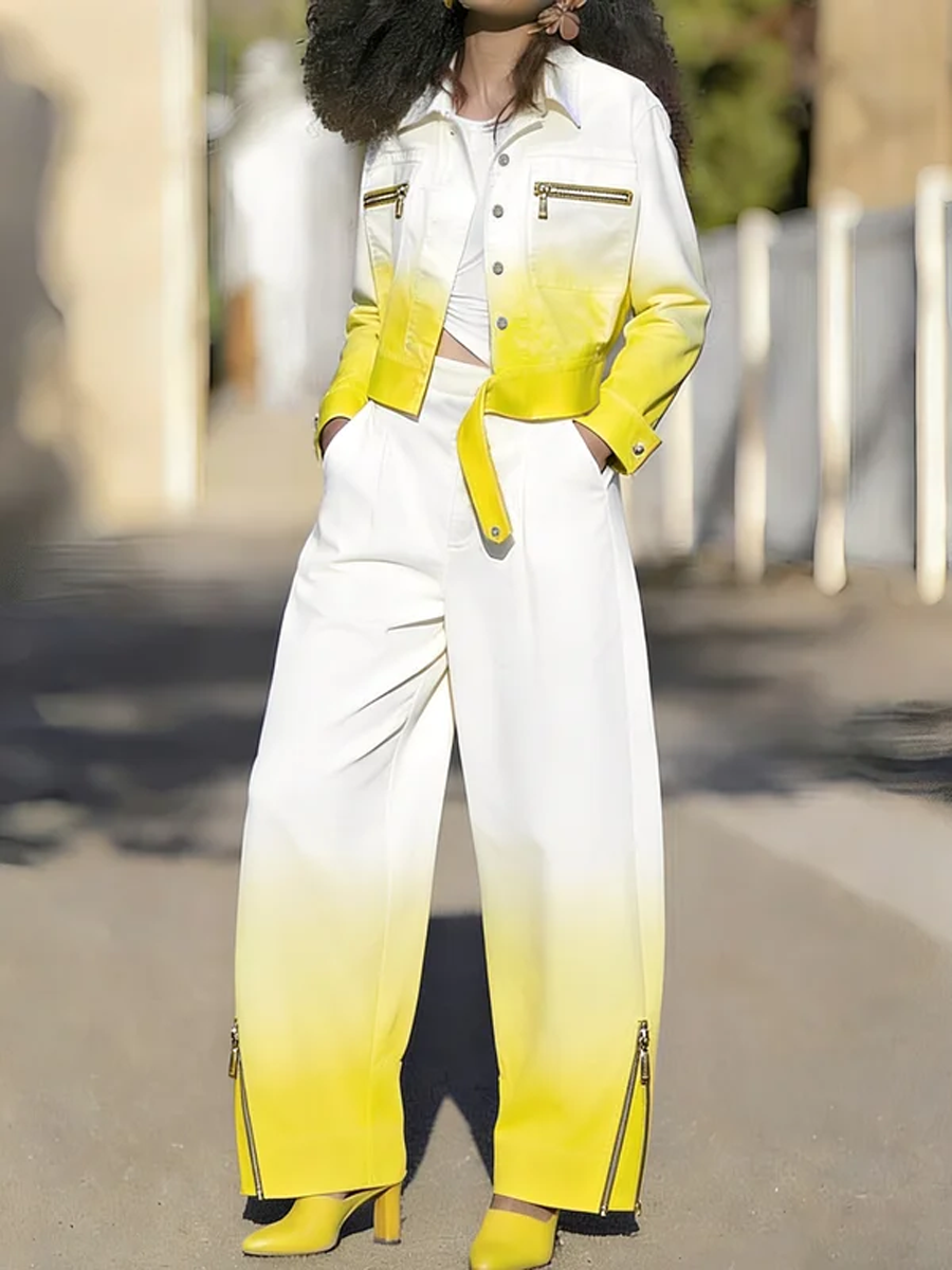 Veste boutonnée à manches longues, en dégradé, à fermeture éclair, à col revers